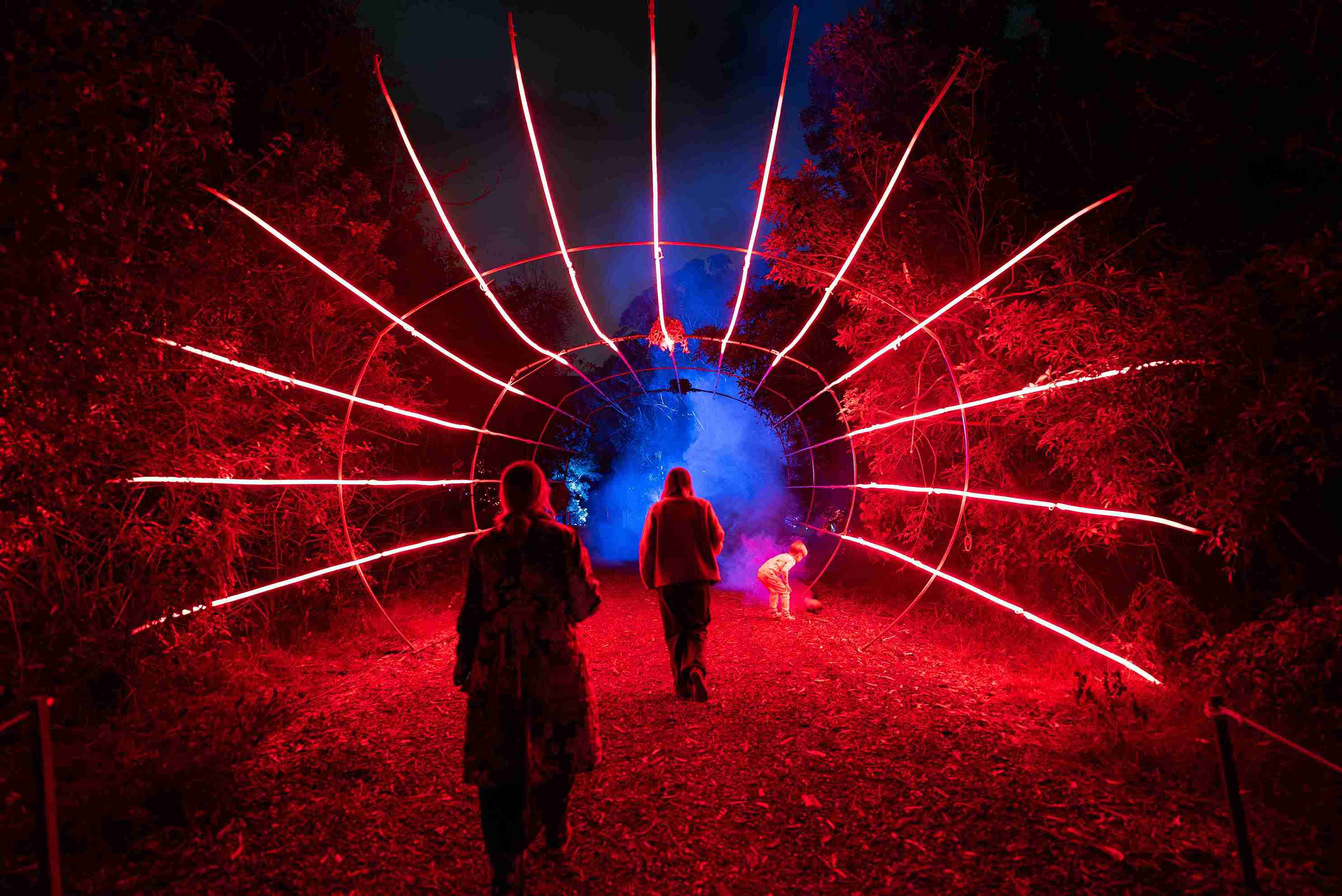 Feature light installation glowing in the gardens
